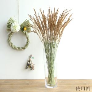 ドライフラワー 花材 即日出荷 イナホ ゴール...の詳細画像3