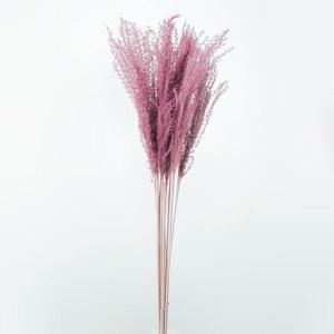 ドライフラワー 花材 即日出荷 【50%OFF】 期間限定特価 ススキ エスプリピンク 穂 ふわふわ スティファ系 ドライフラワー スワッグ ブーケ 花束 大地農園