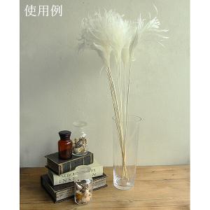 ドライフラワー 花材 即日出荷 ミニススキ 白...の詳細画像4