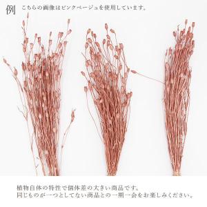 ドライフラワー 花材 即日出荷 フローレンティ...の詳細画像2