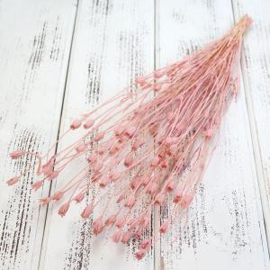 ドライフラワー 花材 即日出荷 フローレンティナ ピンク ドライフラワー スワッグ ブーケ ドライフラワー花束 ドライフラワースワッグ リース 卸 大地農園