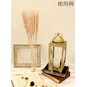 ドライフラワー 花材 即日出荷 テールリード ...の詳細画像4