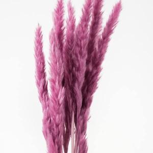 ドライフラワー 花材 即日出荷 【50%OFF...の詳細画像1