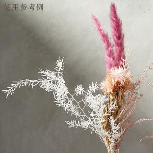 ドライフラワー 花材 即日出荷 【50%OFF...の詳細画像3
