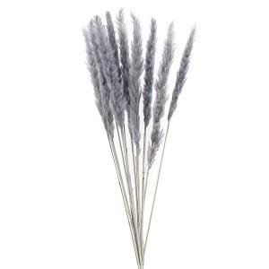【P10倍中 4/20 9:59迄】 ドライフラワー 花材 即日出荷 テールリード グレーブルー パンパス系 フワフワ インテリア 花材 材料 スワッグ ブーケ 大地農園