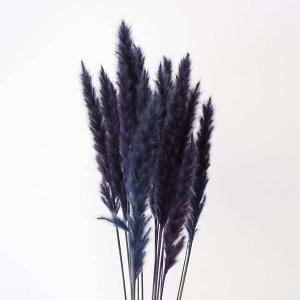 ドライフラワー 花材 即日出荷 テールリード・...の詳細画像1