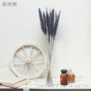 ドライフラワー 花材 即日出荷 テールリード・...の詳細画像3