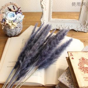 ドライフラワー 花材 即日出荷 テールリード・...の詳細画像4