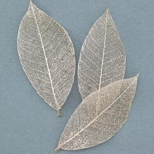 ドライフラワー 花材 即日出荷 【45%OFF】 期間限定特価 ミニスケルトンリーフ・大 プラチナ ドライフラワー 葉脈 スワッグ ブーケ 花束 リース 大地農園