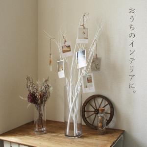 ドライフラワー 花材 即日出荷 三又(100c...の詳細画像4