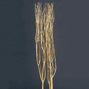 ドライフラワー 花材 即日出荷 グレビレア・ゴールド ワイルドフラワー