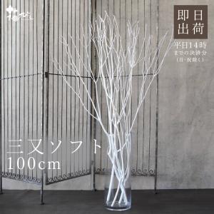 《プリザーブドフラワー 花材》出荷大地農園 三又ソフト(約100cm)