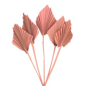 ドライフラワー 花材 即日出荷 【40％OFF】 期間限定特価 パームスペード モーブピンク 花材 素材 パーツ ピンクベージュ ヤシの葉 パームリーフ 大地農園