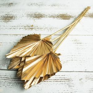 ドライフラワー 花材 即日出荷 パームスペード ...の商品画像