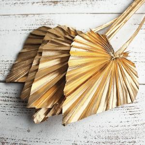 ドライフラワー 花材 即日出荷 パームスペード...の詳細画像1