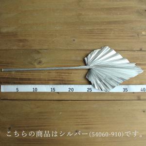 ドライフラワー 花材 即日出荷 パームスペード...の詳細画像2