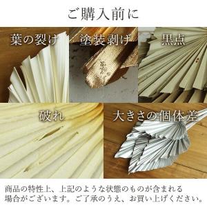 ドライフラワー 花材 即日出荷 パームスペード...の詳細画像3