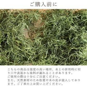 【P5倍中 8/6 9:59まで】 プリザーブ...の詳細画像4
