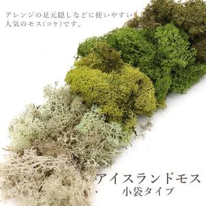プリザーブドフラワー花材 アレンジメント用品 資材 花 ガーデニング 通販 Yahoo ショッピング