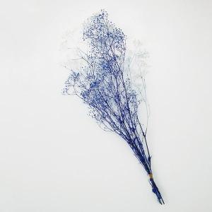 プリザーブドフラワー 花材 即日出荷 束ねる ミ...の商品画像
