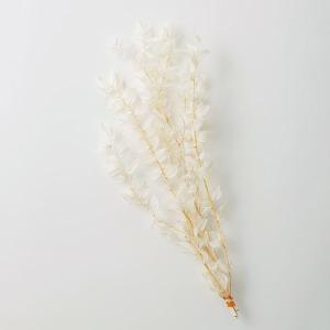 《プリザーブドフラワー 花材》出荷大地農園 束ねる