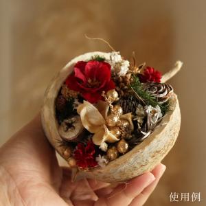 ドライフラワー 花材 即日出荷 ブッダナッツ ...の詳細画像4