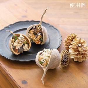 ドライフラワー 花材 即日出荷 ブッダナッツ ...の詳細画像5