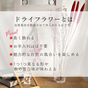 ドライフラワー アレンジ 即日出荷 ブーケピー...の詳細画像3