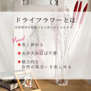 ドライフラワー アレンジ 即日出荷 ビタミンブ...の詳細画像3