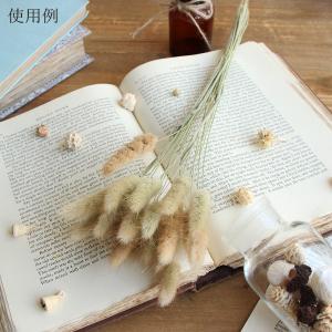 ドライフラワー 花材 即日出荷 ラグラス グリ...の詳細画像5