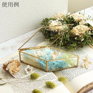 ガラス ベース インテリア ケース ボックス ...の詳細画像5
