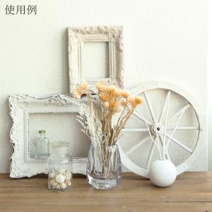 ドライフラワー 花材 即日出荷 シルバーデイジ...の詳細画像4