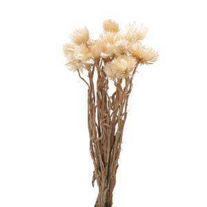 生花用糸針金 華のいと エナメル緑 グリーン 17649-0 フラワーワイヤー