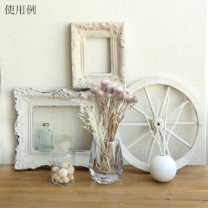ドライフラワー 花材 即日出荷 シルバーデイジ...の詳細画像4