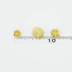 ドライフラワー 花材 即日出荷 シルバーデイジ...の詳細画像3