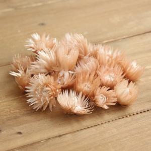ドライフラワー 花材 即日出荷 丸っぽライム (1袋6コ入り) ライム