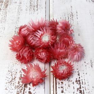 ドライフラワー 花材 即日出荷 シルバーデイジーヘッド サーモン シルバーデージー 花材 素材 材料 パーツ ドライフラワー スワッグ ブーケ 花束 東方貿易