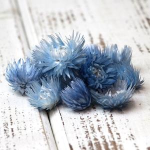 ドライフラワー 花材 即日出荷 シルバーデージー ミニ 空 スワッグ