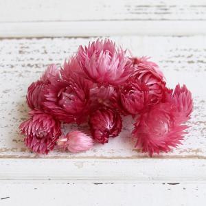 ドライフラワー 花材 即日出荷 【50%OFF】 期間限定特価 ススキ