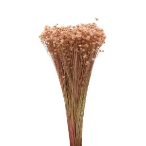 ドライフラワー 花材 即日出荷 スターフラワー・ミニ ライトピンク ※濃い場合があります 花材 素材 材料 パーツ スワッグ ブーケ 花束 リース 東方貿易
