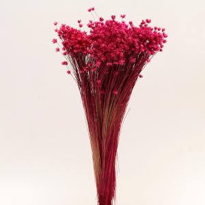 ドライフラワー 花材 即日出荷 特価 スターフラワー・ミニ ピンク 花材 素材 材料 ピンク 濃ピンク パーツ スワッグ ブーケ ドライフラワー花束 東方貿易