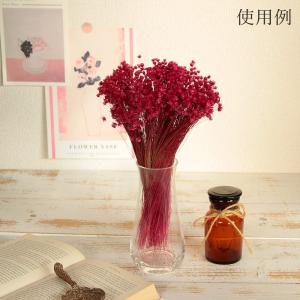ドライフラワー 花材 即日出荷 特価 スターフ...の詳細画像3