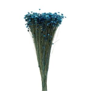 ドライフラワー 花材 即日出荷 スターフラワー・ミニ ブルー 青 スワッグ ブーケ ドライフラワー花束 ドライフラワースワッグ リース アレンジ 東方貿易