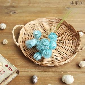 ドライフラワー 花材 即日出荷 シルバーデイジ...の詳細画像5