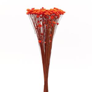 ドライフラワー 花材 即日出荷 紅花・ナチュラル スワッグ ブーケ
