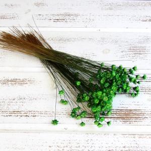 ドライフラワー 花材 即日出荷 スターフラワー グリーン ドライフラワー スワッグ ブーケ ドライフラワー花束 ドライフラワースワッグ リース 卸 東方貿易