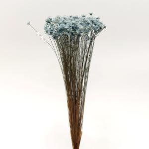 ドライフラワー 花材 即日出荷 特価 スターフラワー ダークブルー 花材 素材 材料 パーツ 青 ブルー くすみカラー スワッグ ブーケ 花束 リース 東方貿易