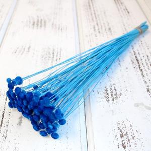 ドライフラワー 花材 即日出荷 セジナボタン ライトブルー ドライフラワー スワッグ ブーケ ドライフラワー花束 ドライフラワースワッグ リース 東方貿易