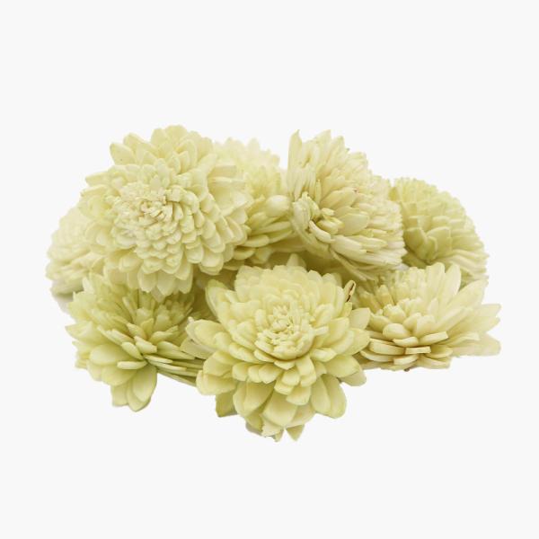 ハンドメイドフラワー 花材 即日出荷 ソーラーダリア・4cm ライトグリーン ドライフラワー 黄緑 ...