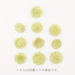 ハンドメイドフラワー 花材 即日出荷 ソーラー...の詳細画像3